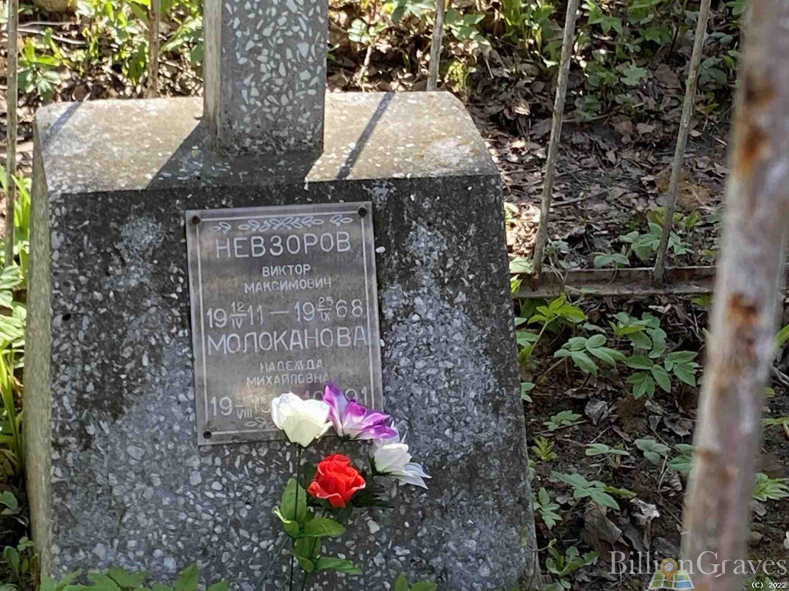 Молоканова Надежда Михайловна