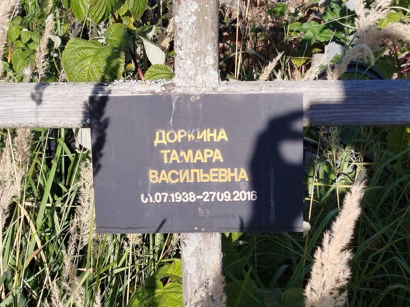Доркина