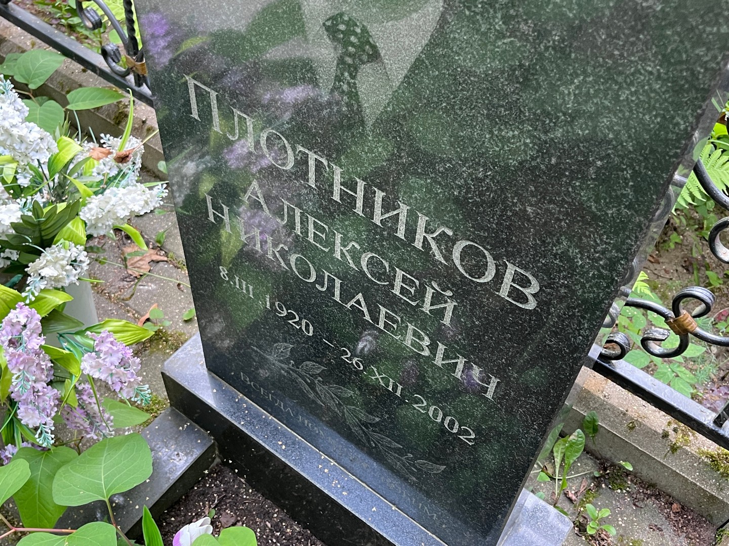 Плотников