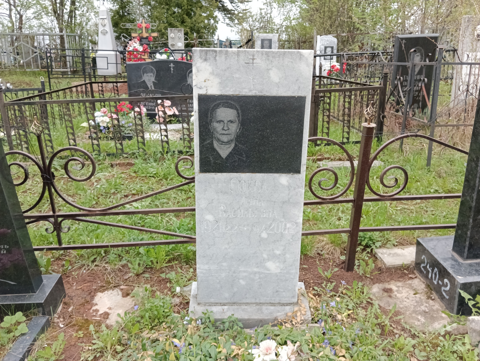 Сокол Анна Васильевна