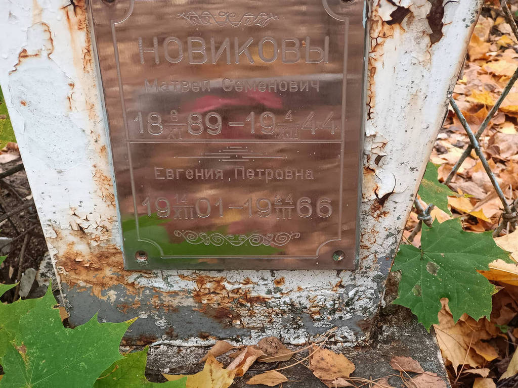 Новикова Евгения Петровна