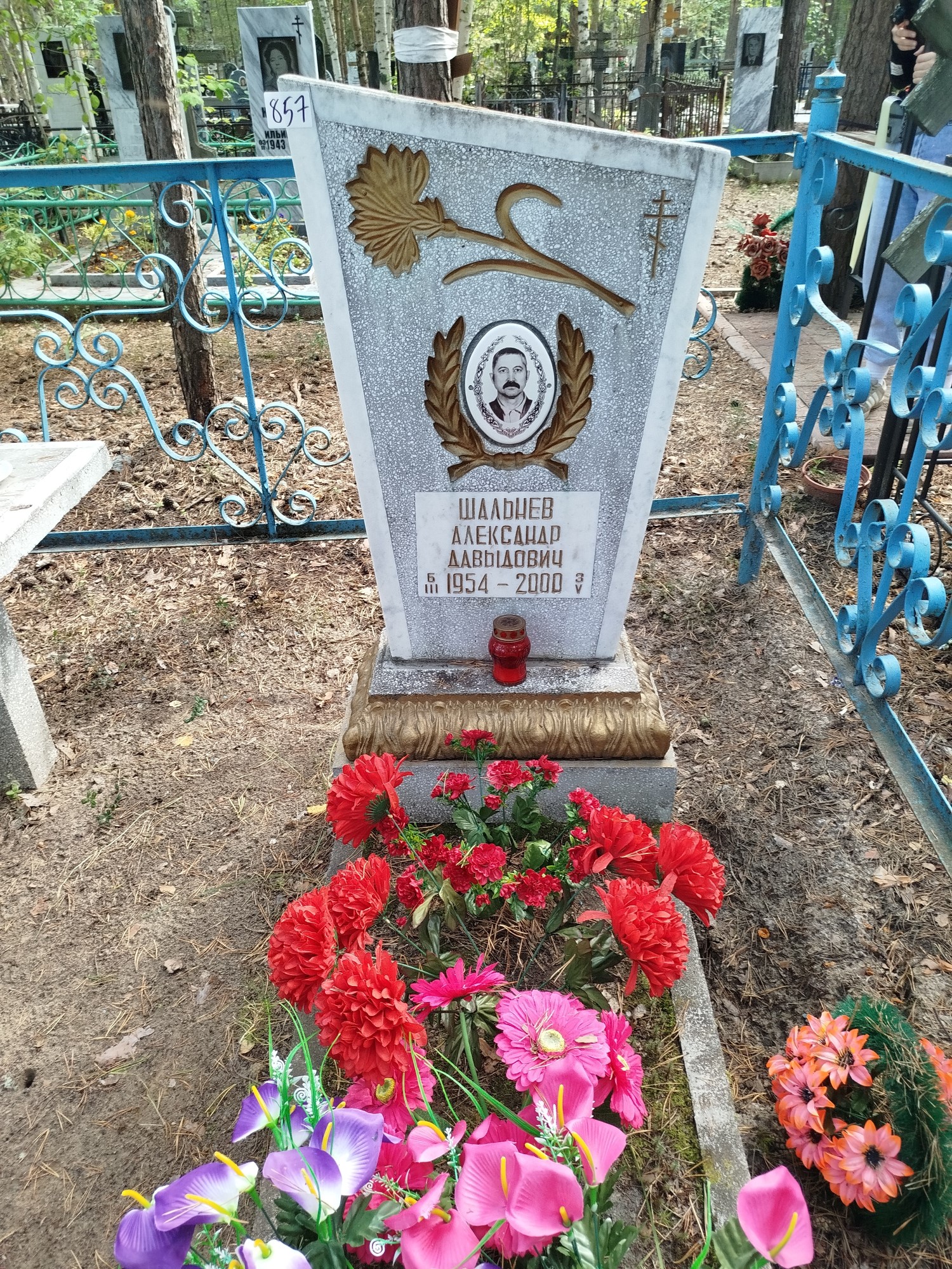 Шальнев Александр Давыдовыч