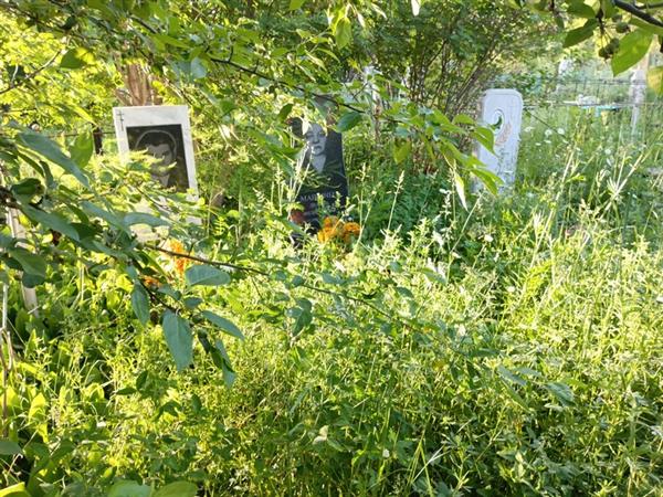 Рассолодова Наталья Николаевна
