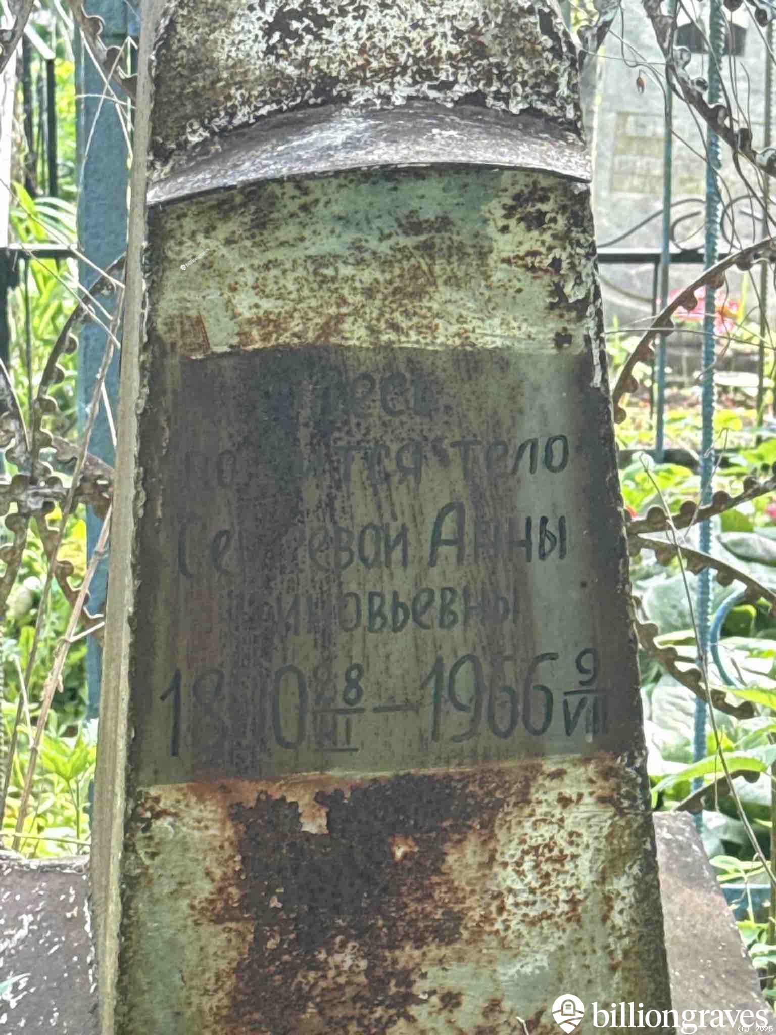Сергеева Анна Зиновьевна