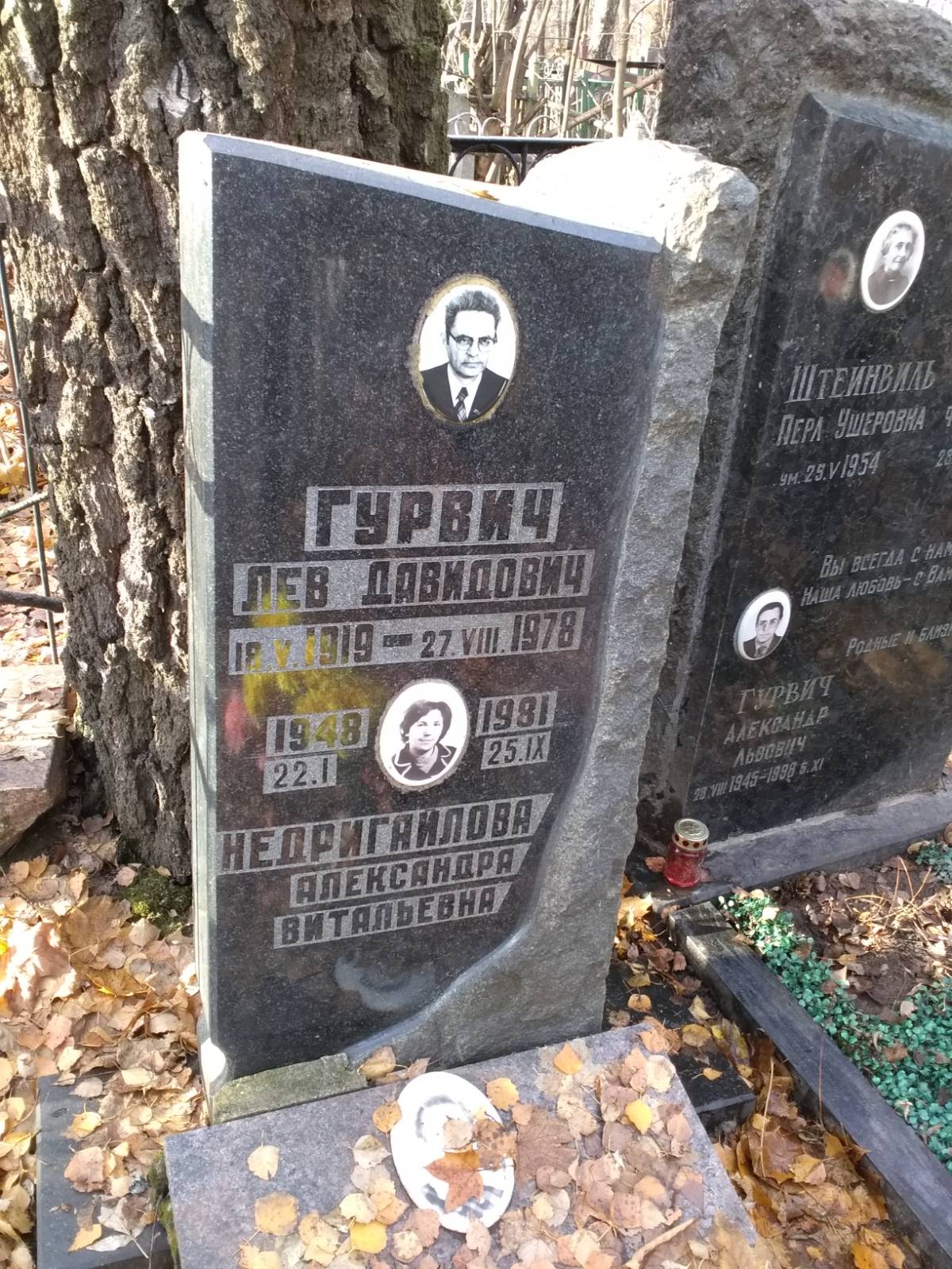 Гурвич Лев Давидович