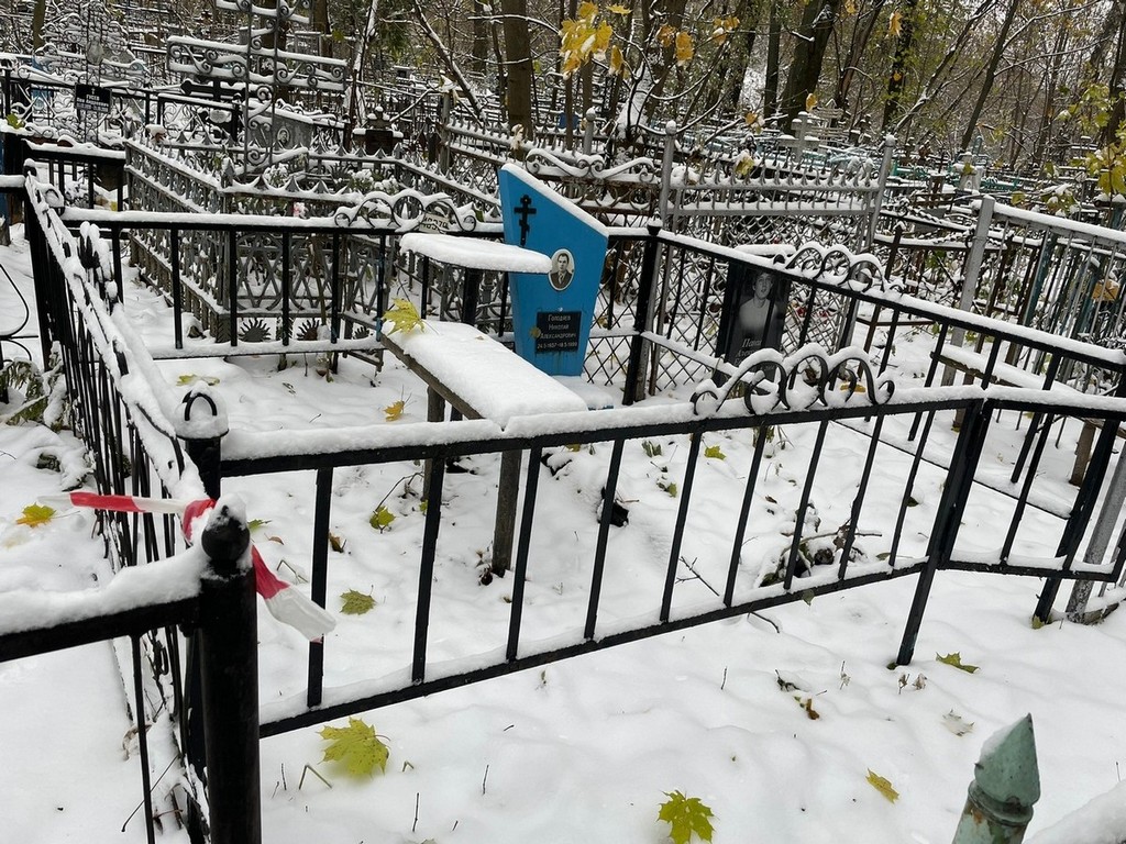 Голодяев Николай Александрович