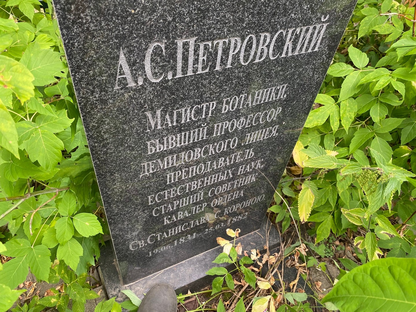 А Петровский С
