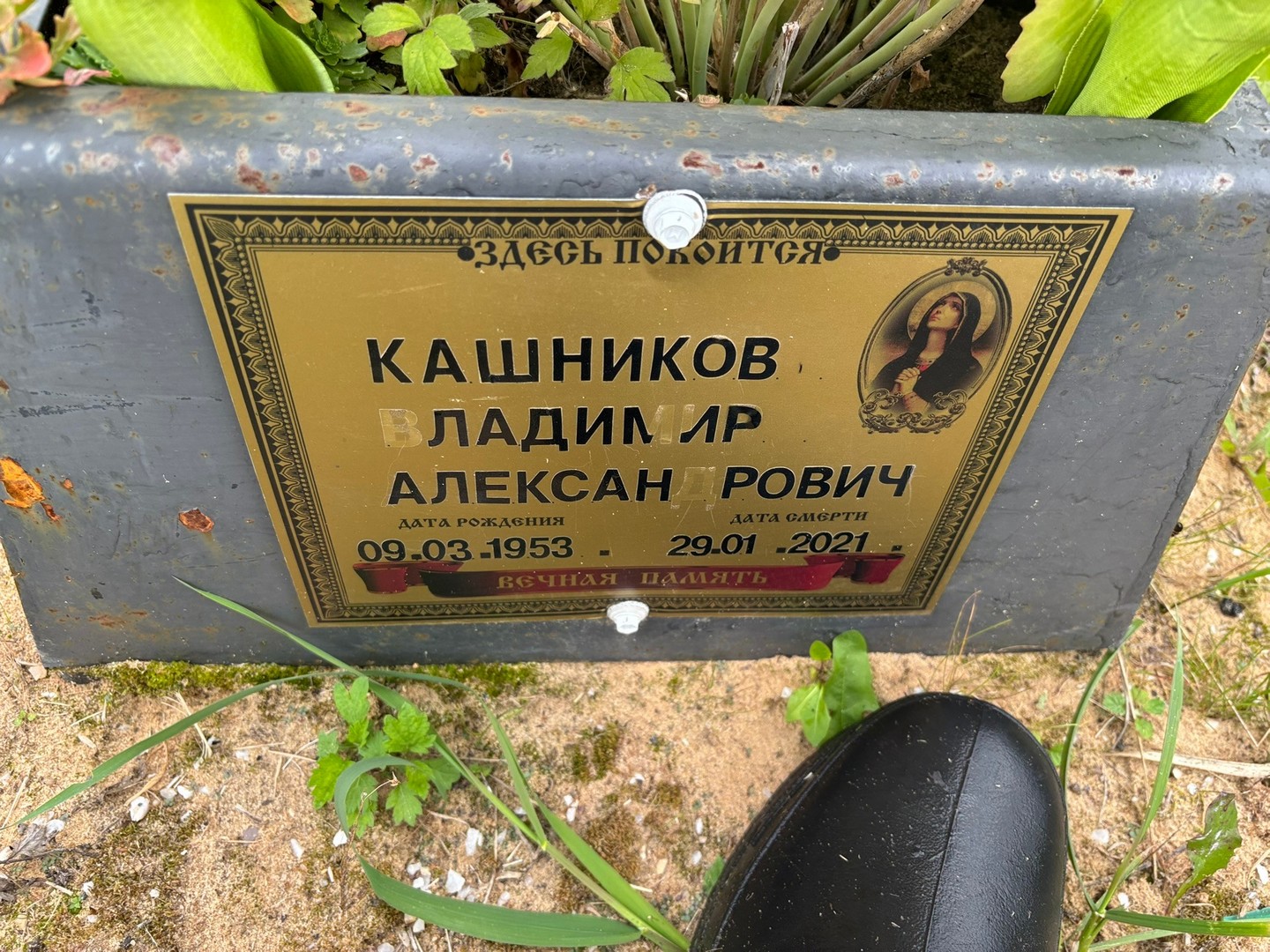Кашников