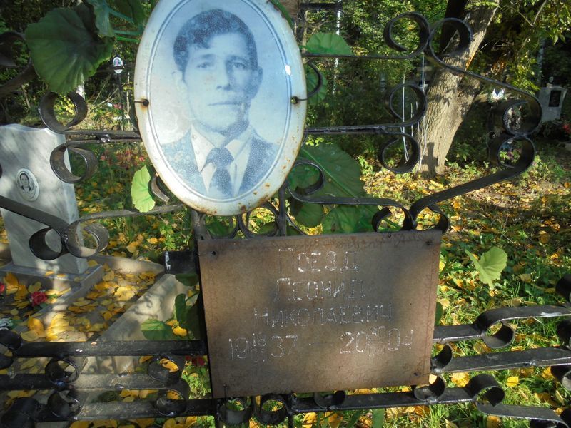 Поезд Леонил Николаевич
