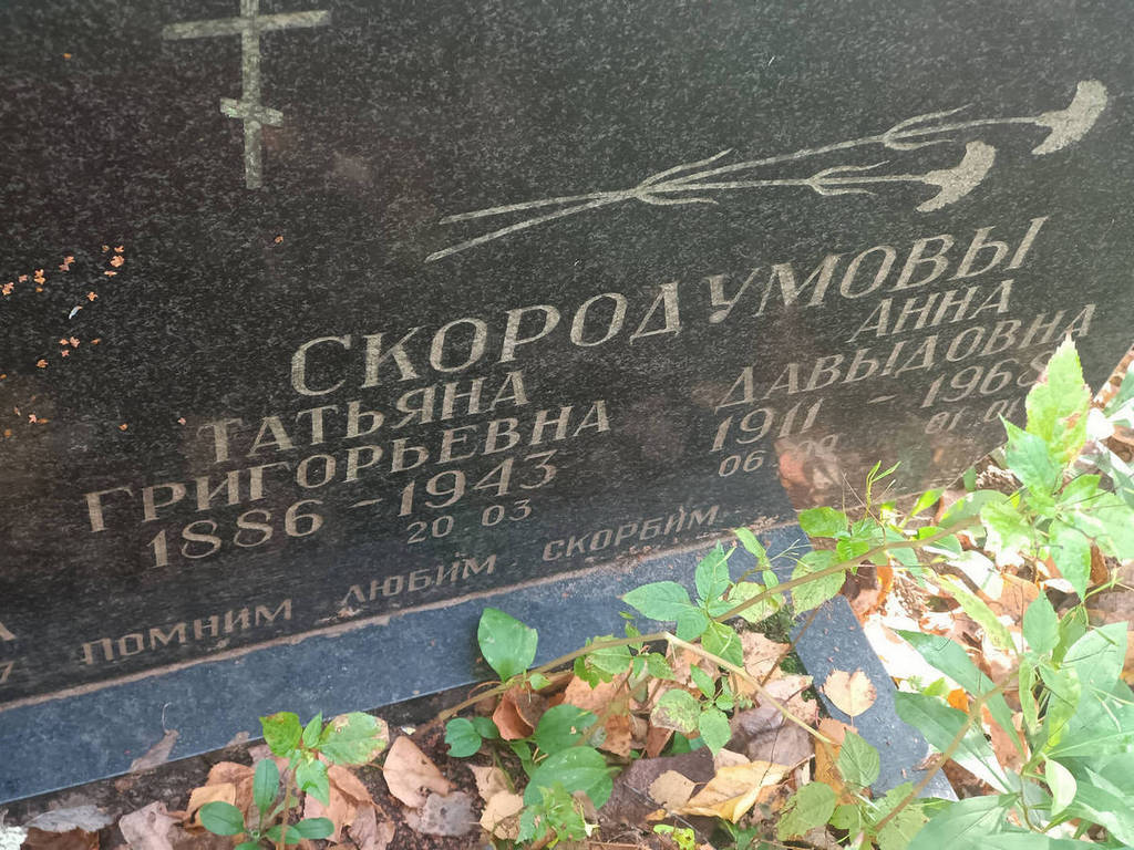 Скородумова Анна Давыдовна
