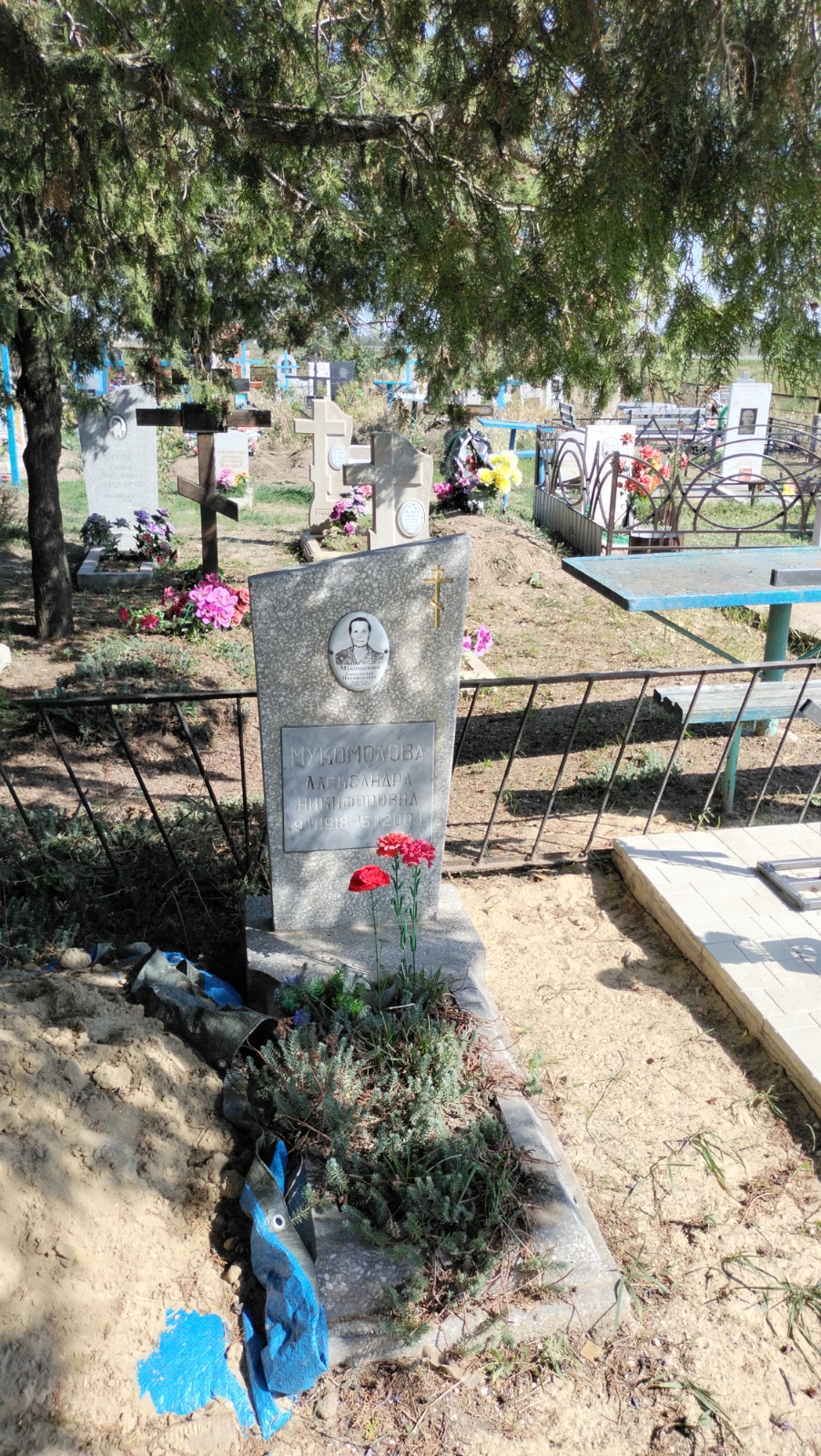 Мукомолова Александра Никифоровна
