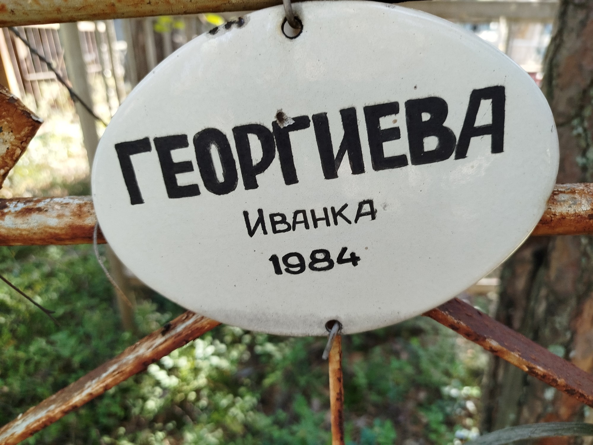 Георгиева Иванка