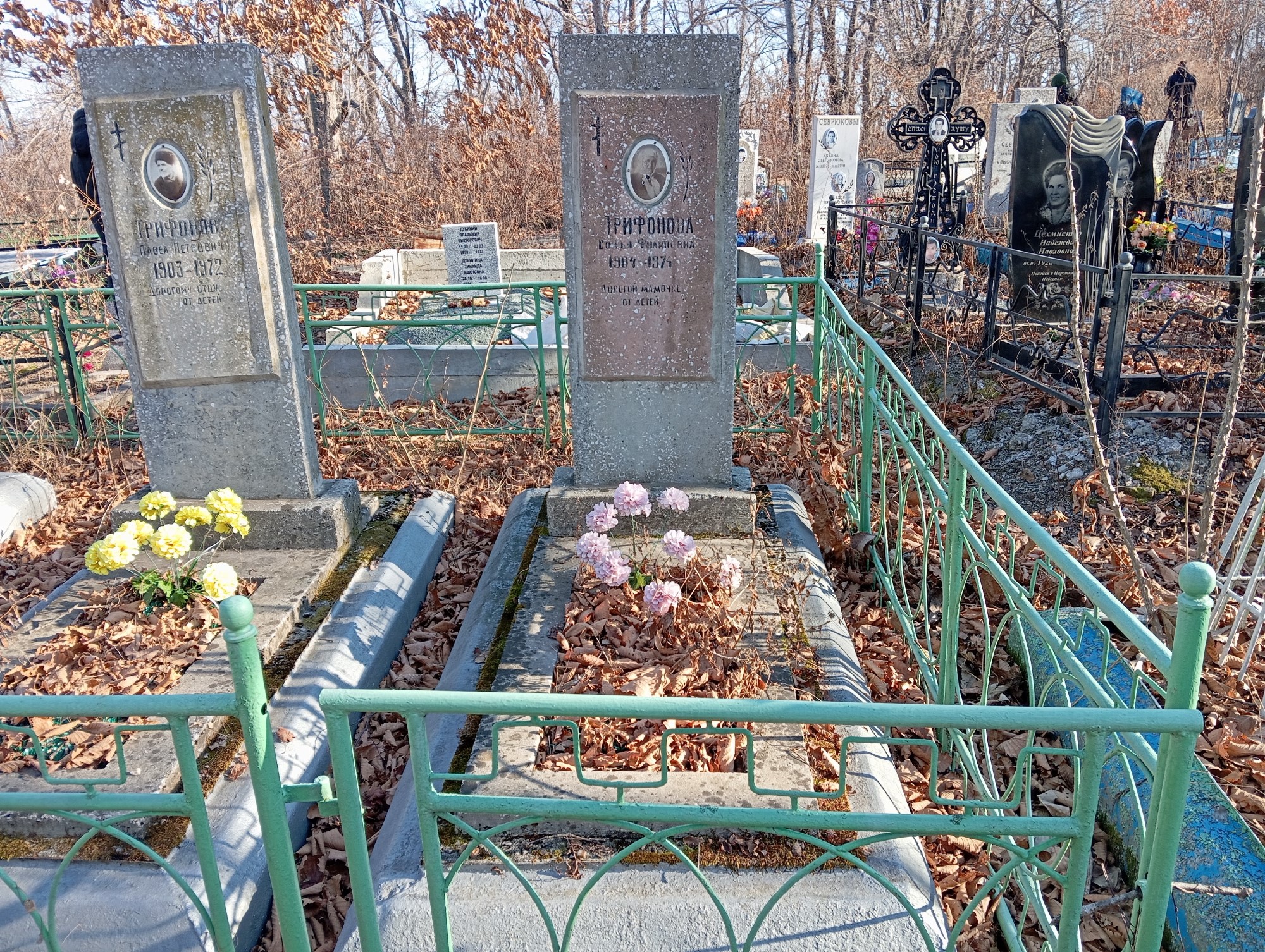 Трифонова Софья Филипповна