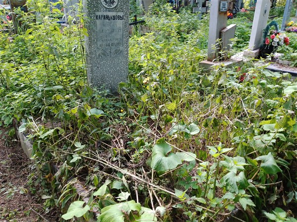 Кондрашова Ольга Александровна