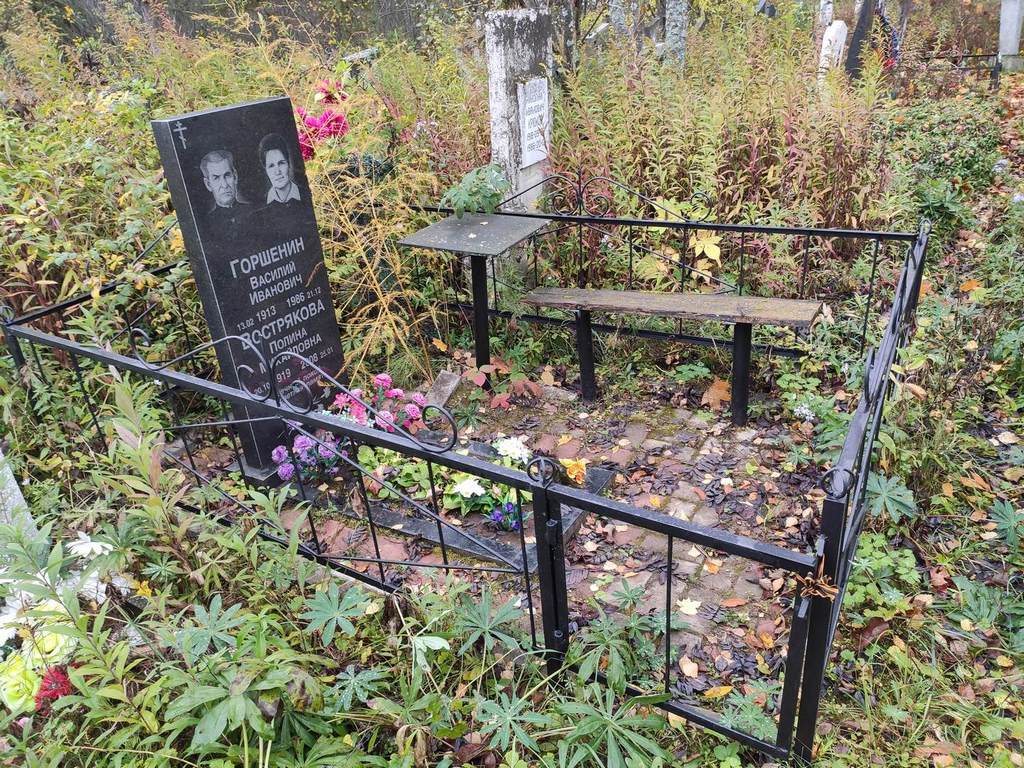 Горшенин Василий Иванович