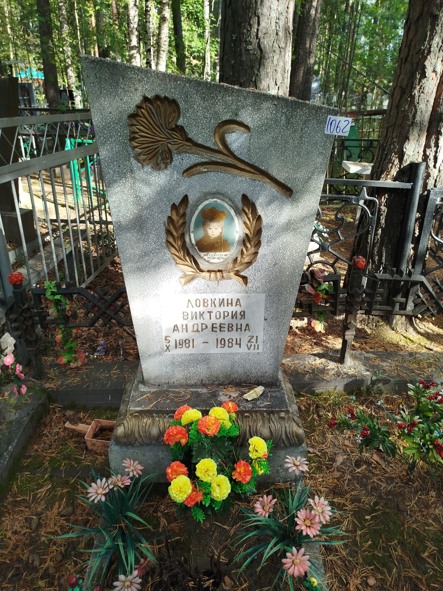 Ловкина Виктория Андреевна