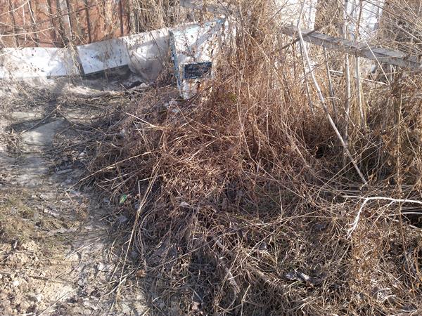 Карпова Софья Григорьевна
