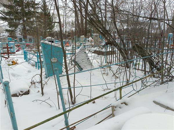Трубина Анна Алексеевна