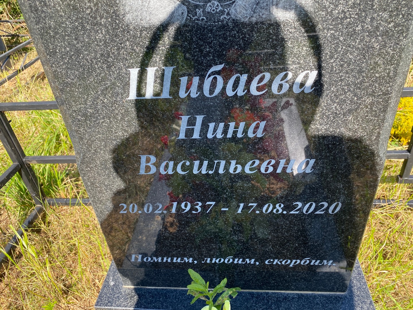 Шибаева