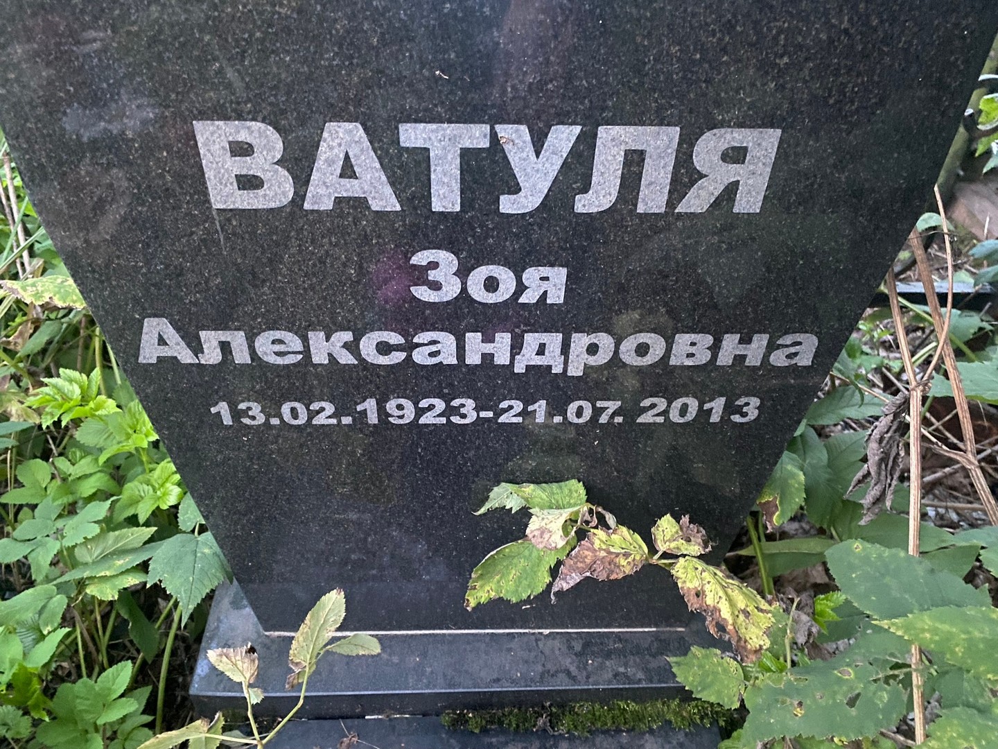 Ватуля