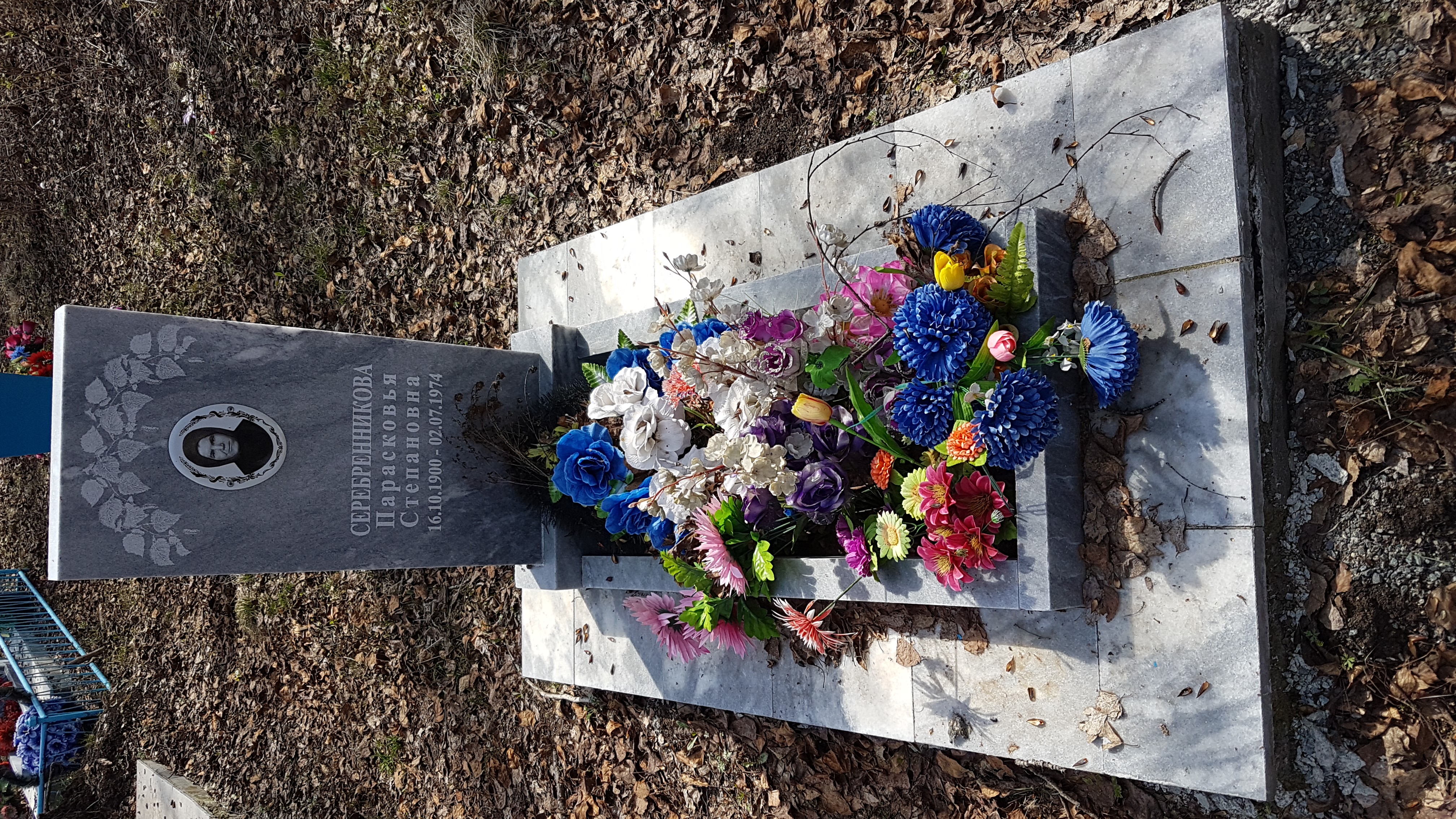 Серебренникова Парасковья Степановна