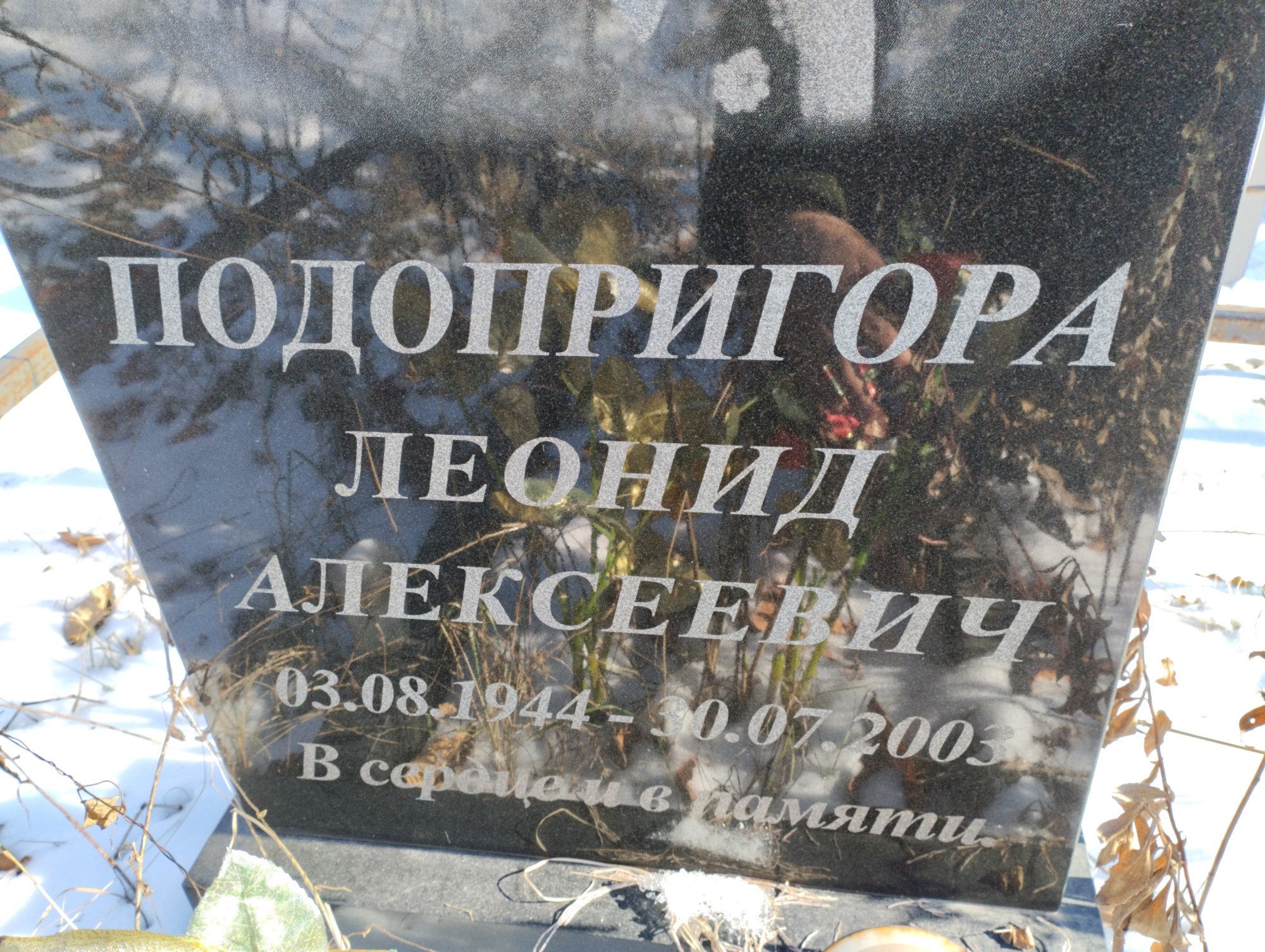 Подопригора Леонид Алексеевич