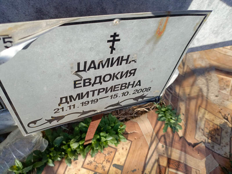 Шамина