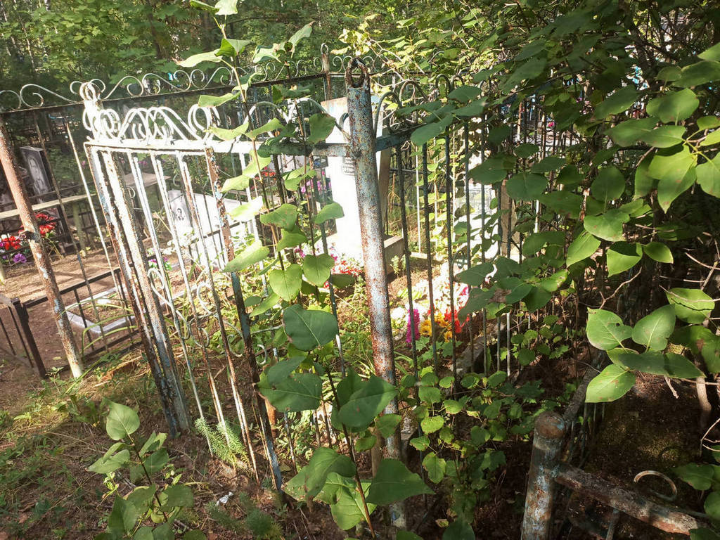 Корьева Анастасия Александровна