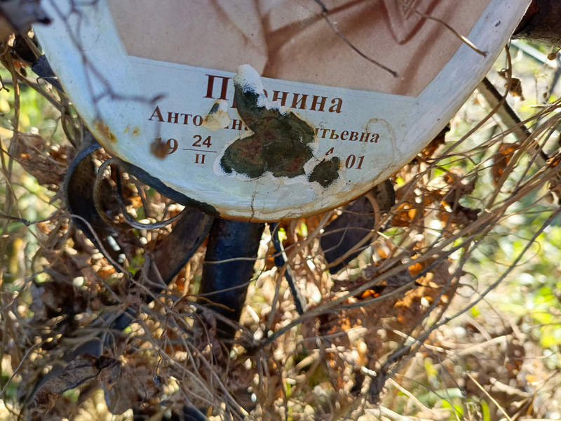Пронина Антонина Витальевна