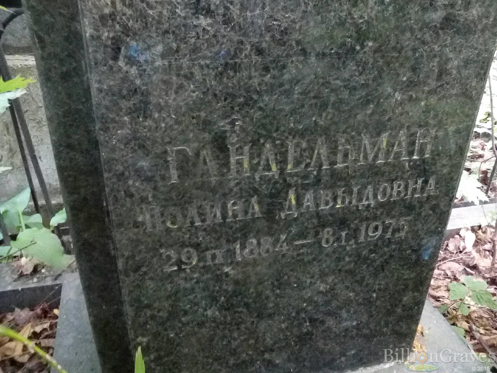 гандельман павел моисеевич