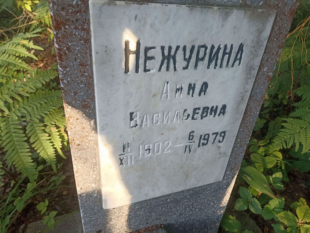 Нежурина Анна Васильевна