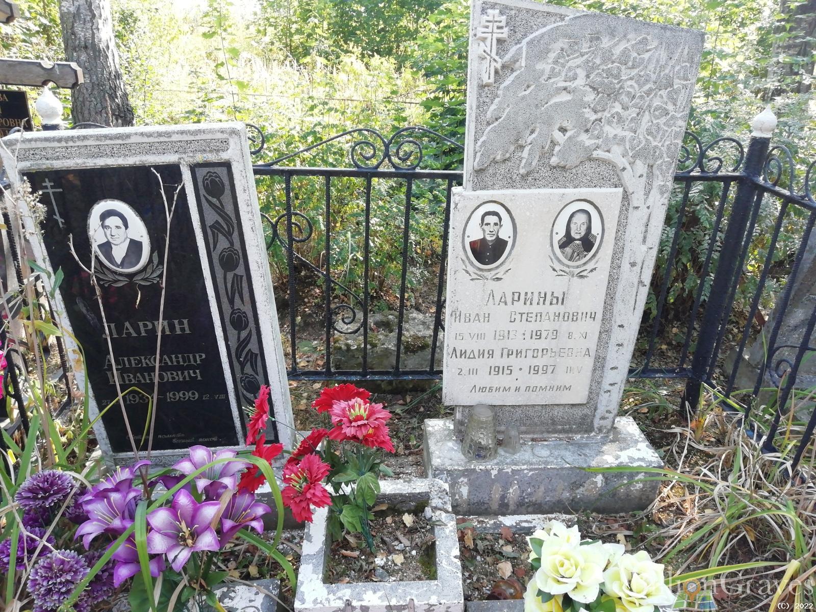 Ларин Александр Иванович