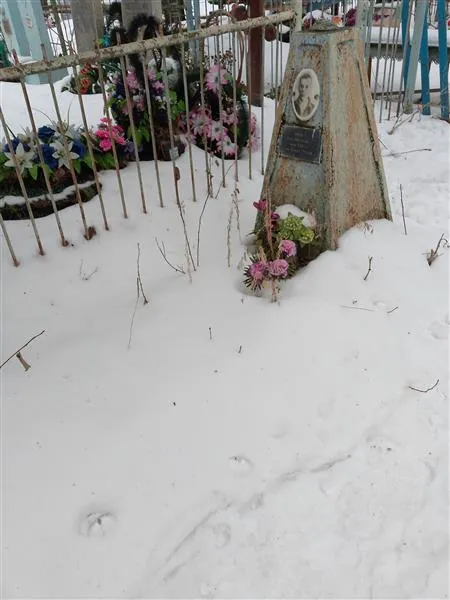 Артанов Павел
