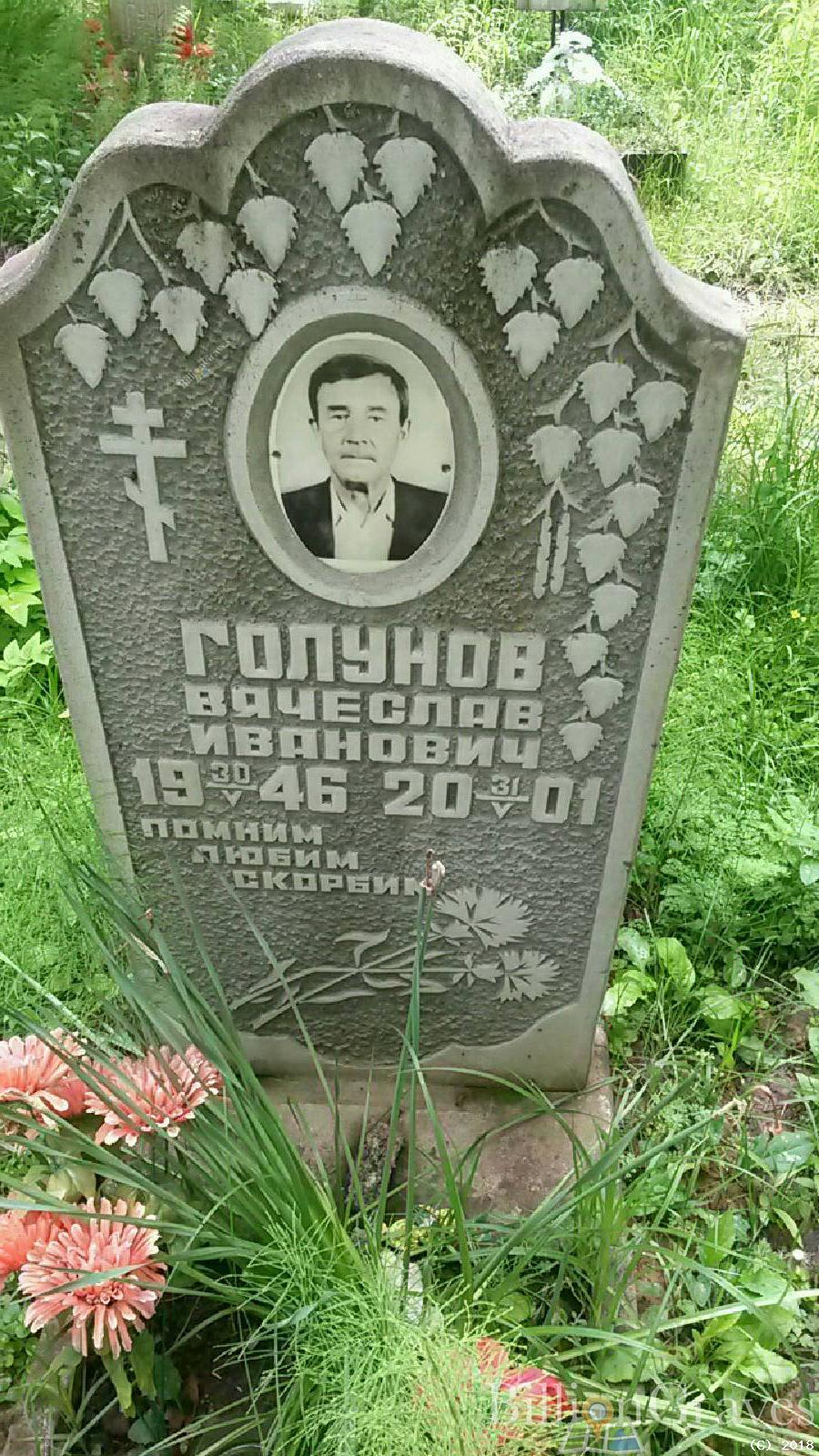 Голунов Вячеслав Иванович
