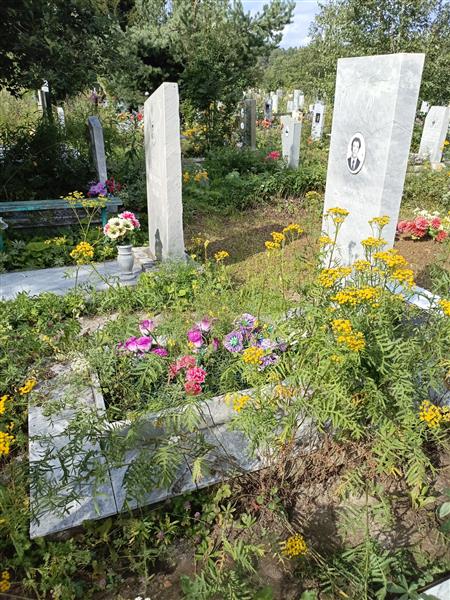 Смирнов Дмитрий Николаевич