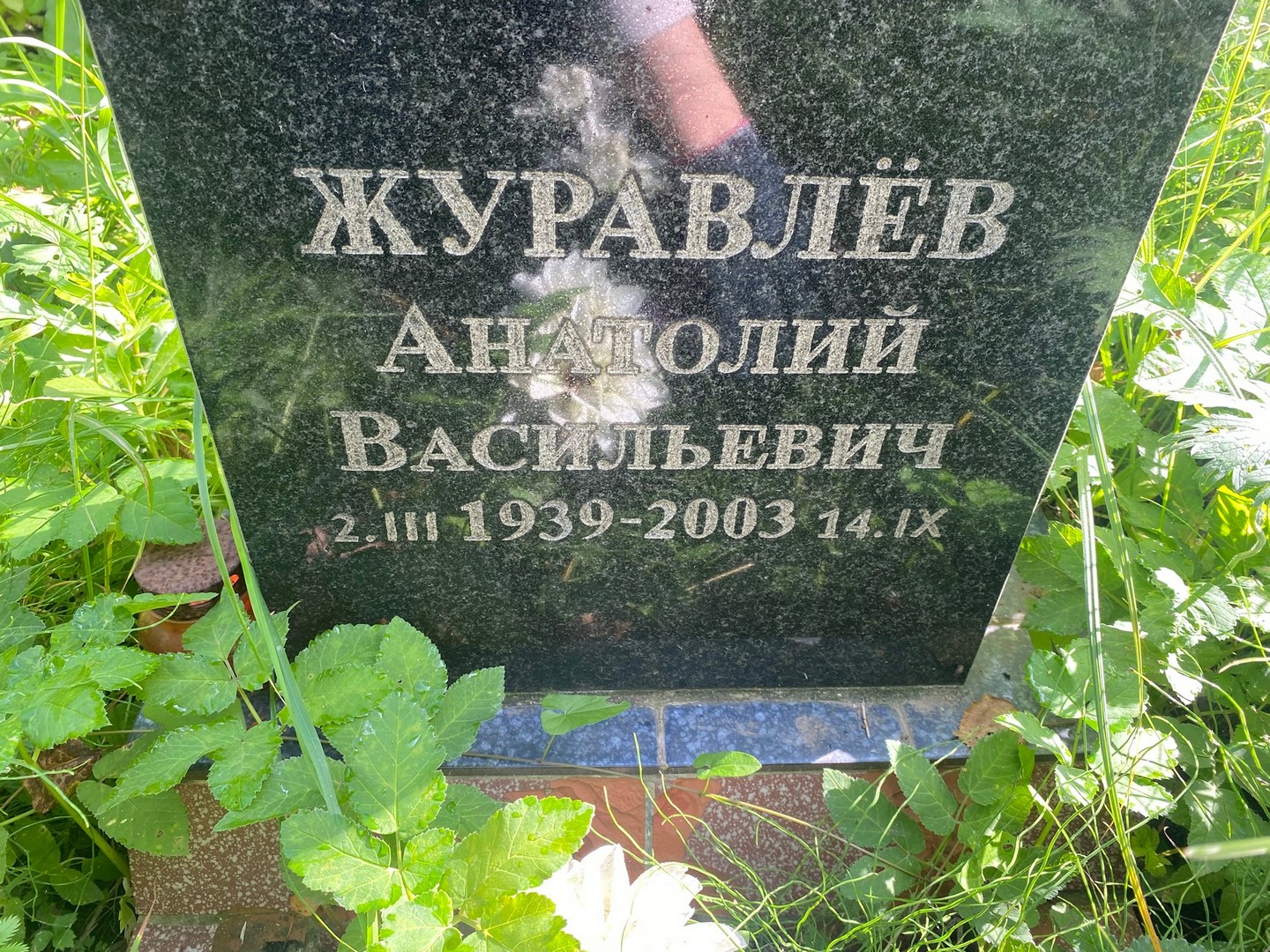 Журавлев