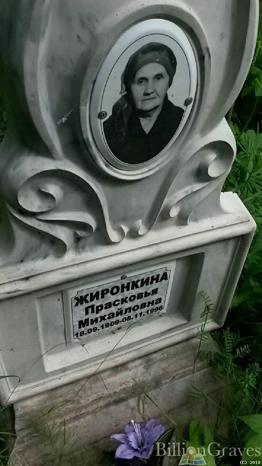 Жиронкина Прасковья Михайловна