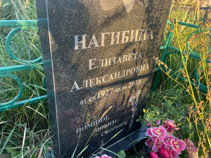 Нагибина