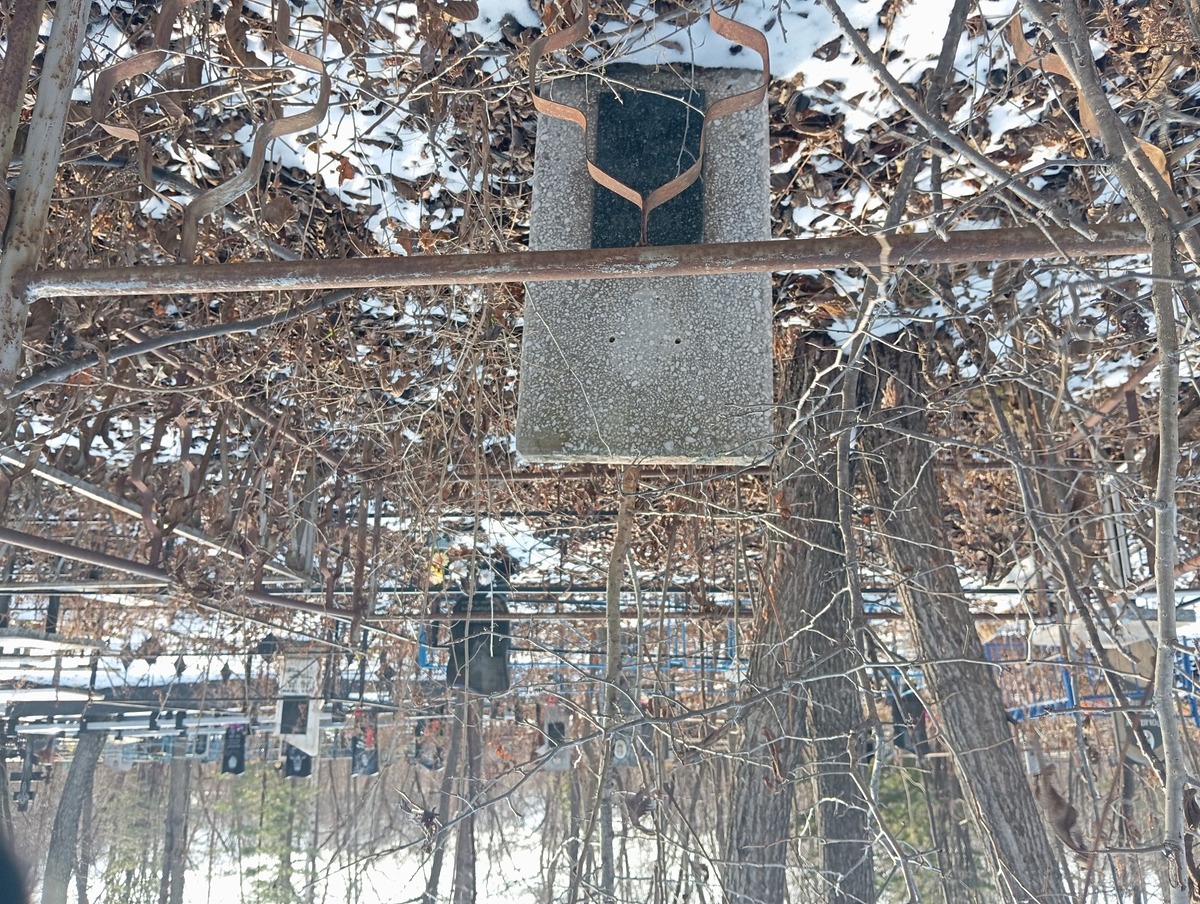 Недли Леонид Иванович