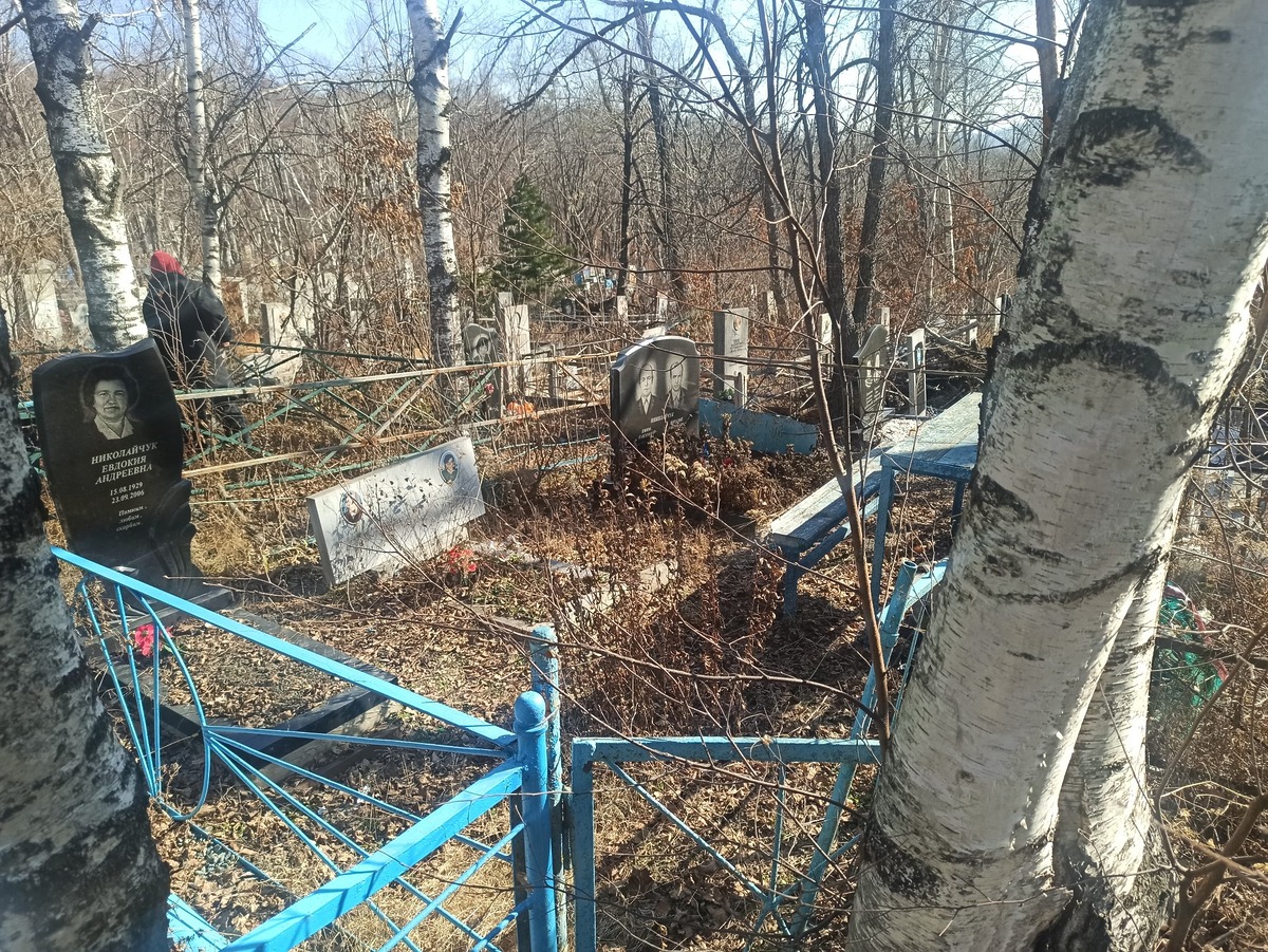 Николайчук Виталий Ефимович