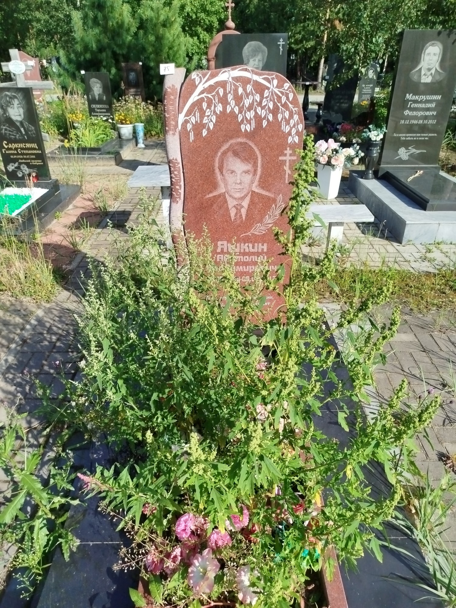 Яшкин Анатолий Владимирович