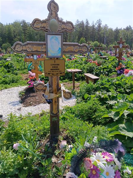 Строкова Елена Ивановна