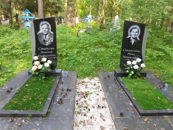 Стадухин Николай Трефильевич