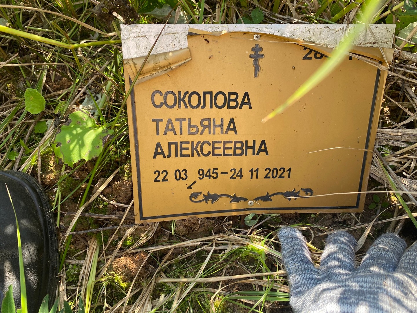 Соколова