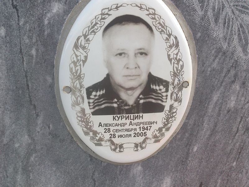 Курицин