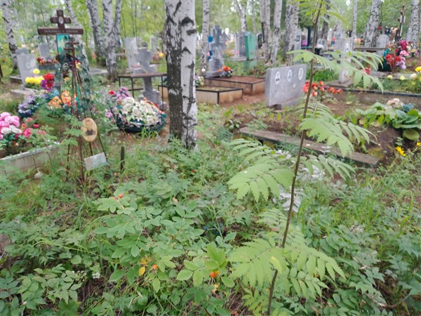 Макавеев Владимир Петрович