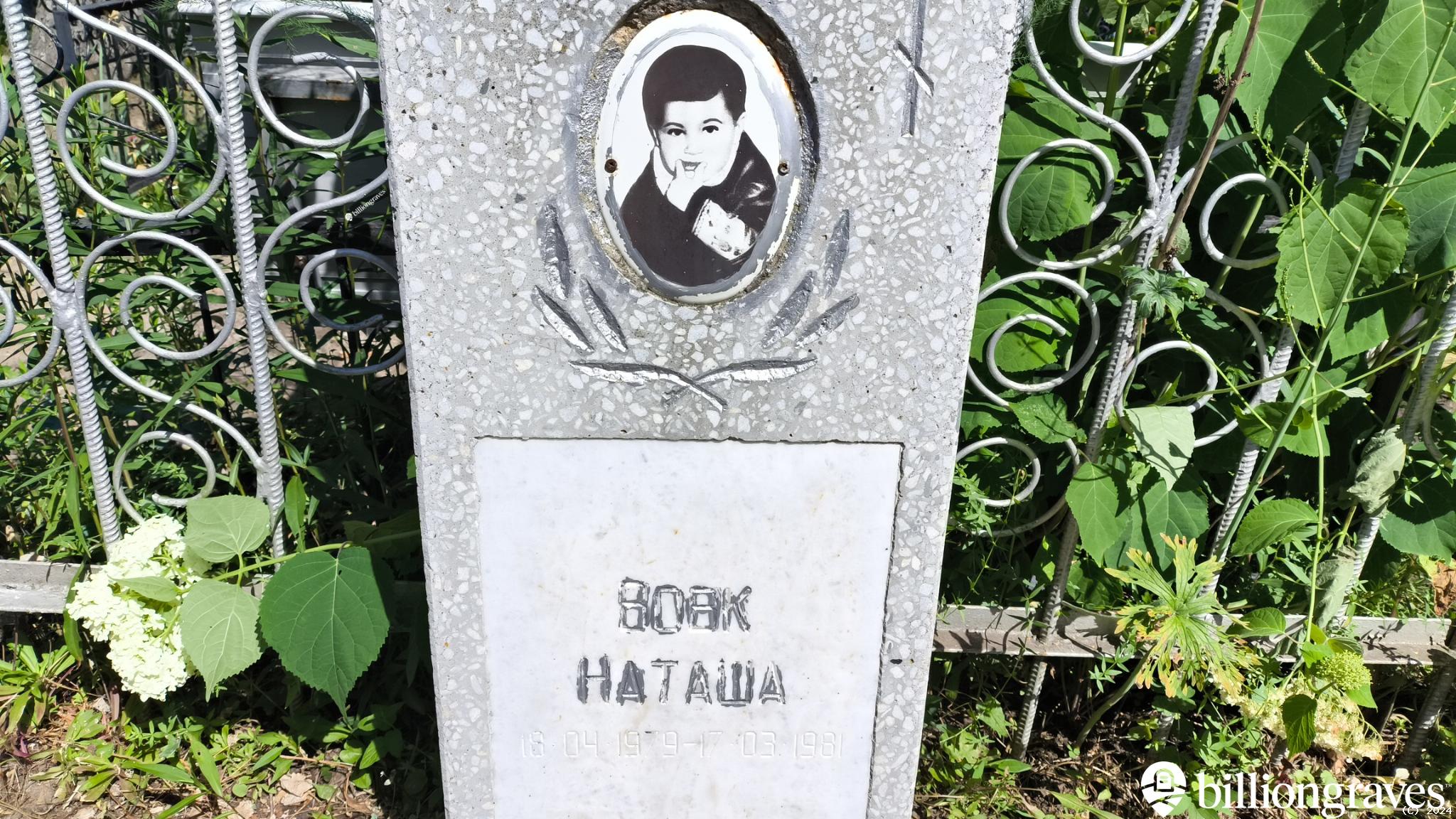 Вовк Наташа
