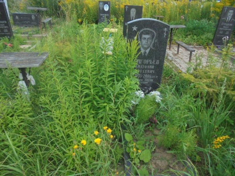 Григорьев Анатолий Сергеевич