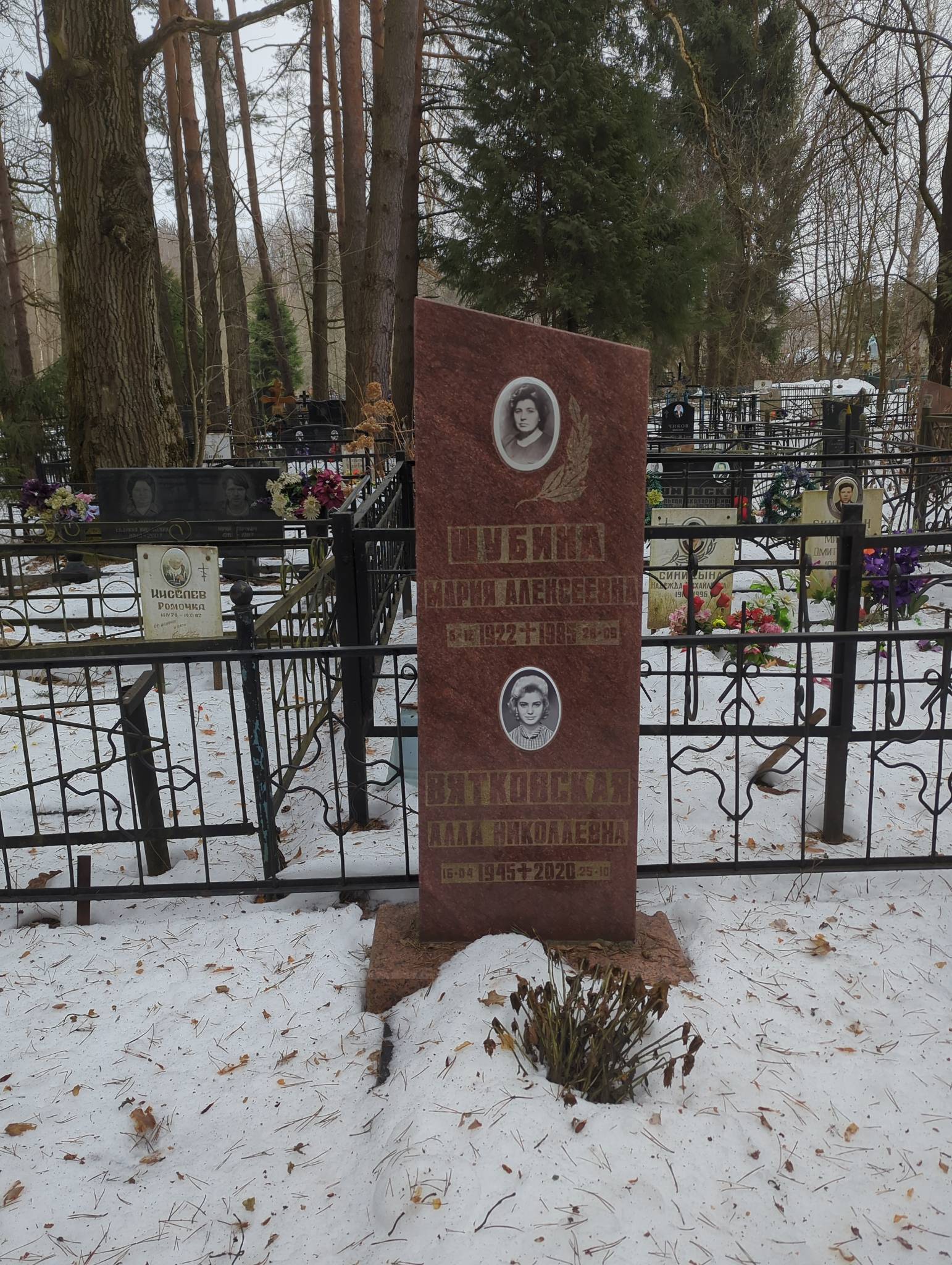 Вятковская Алла Николаевна