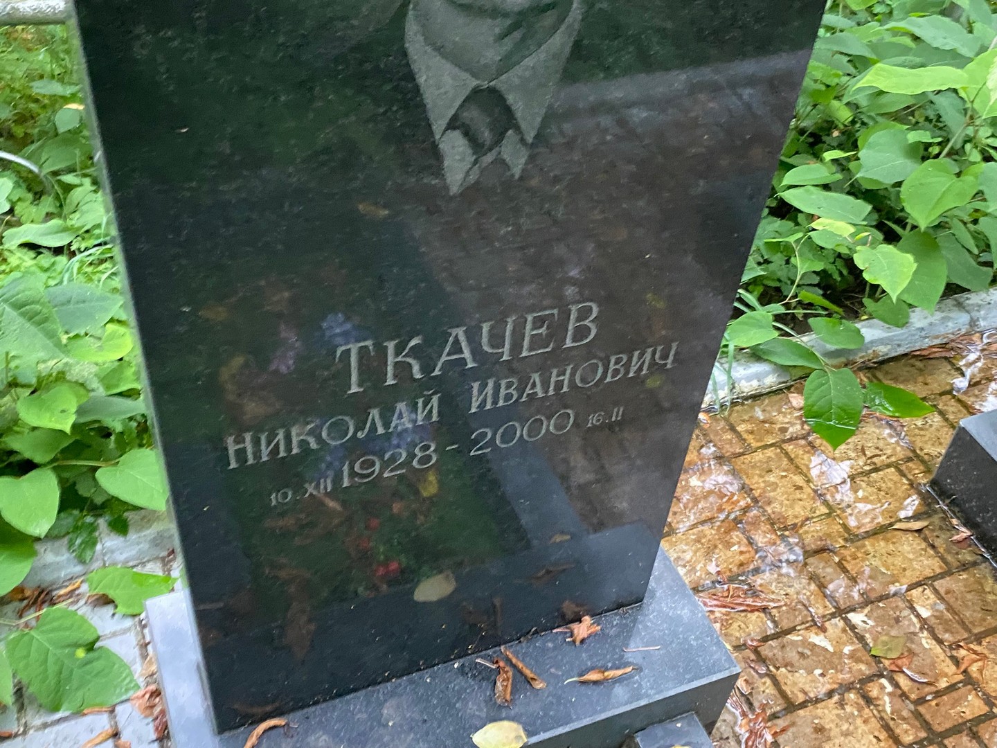 Ткачев